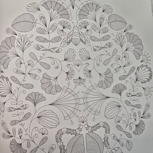 Animal Kingdom and Enchanted Forest Coloring Book (Set of 2) - Picture 3 of 14